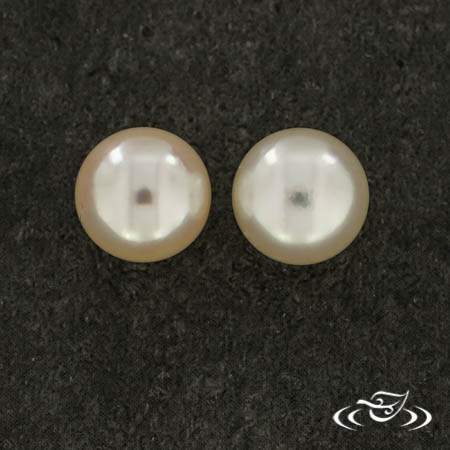 14Kw 7.5-8Mm Akoya Pearl Studs