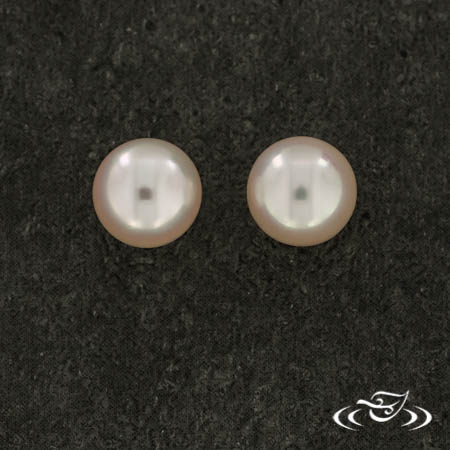 14Kw 6-6.5Mm Akoya Pearl Studs