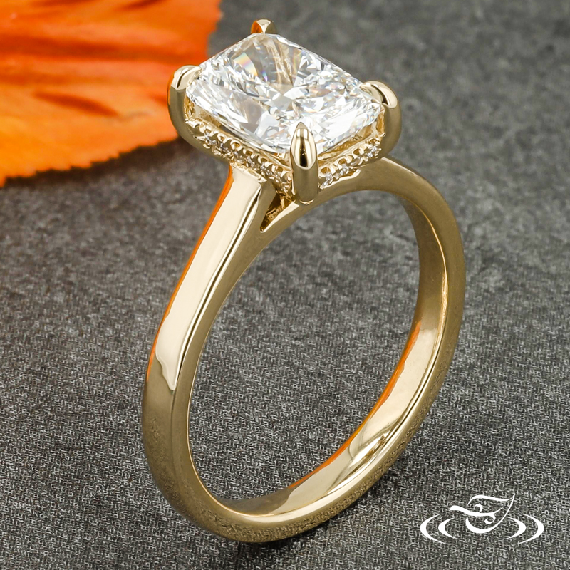 Cushion Cut Hidden Halo