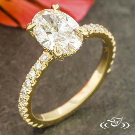 French Set Hidden Halo 